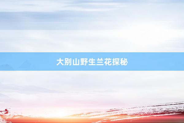 大别山野生兰花探秘