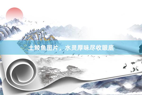 土鲮鱼图片，水灵厚味尽收眼底