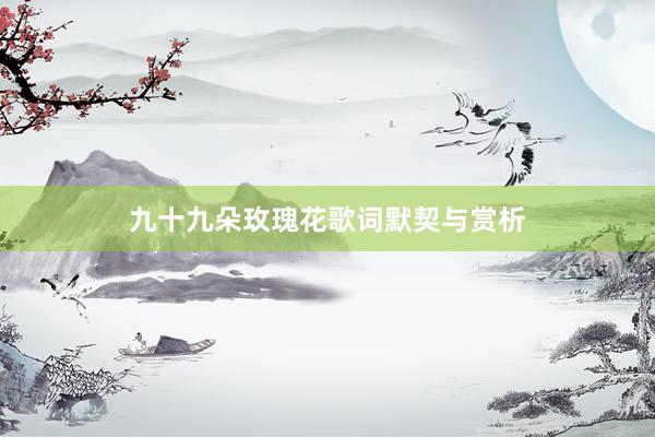九十九朵玫瑰花歌词默契与赏析