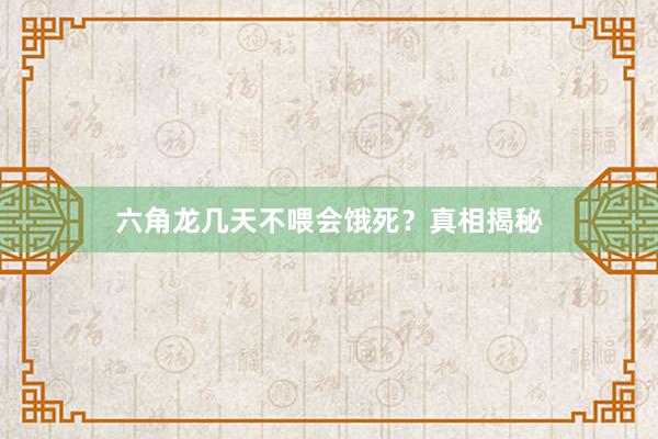 六角龙几天不喂会饿死?真相揭秘
